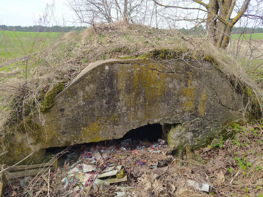 Дот первой мировой