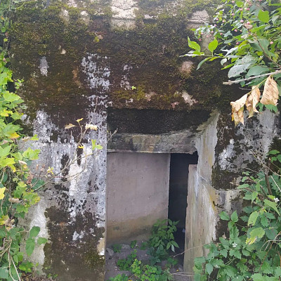 Дот первой мировой