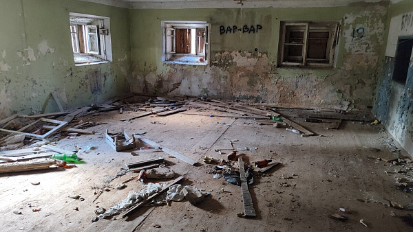 Усадьба Толстых (Грудиновка)