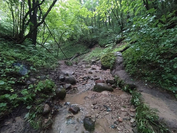 Юцковский родник
