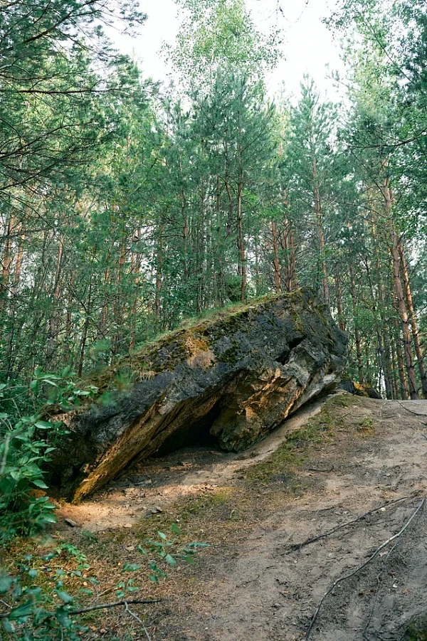 Ледниковые конгломераты