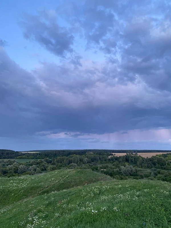 Городище "Шведская Гора"