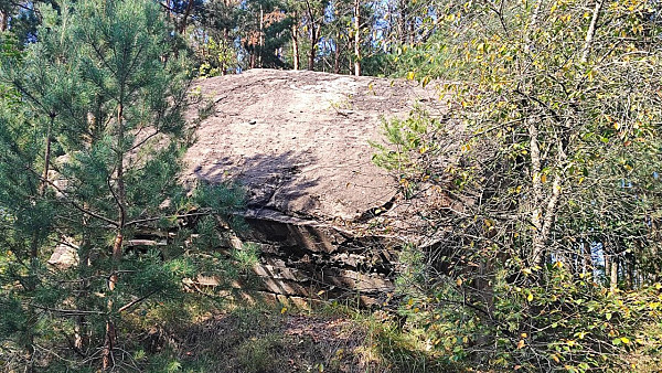 Дот первой мировой