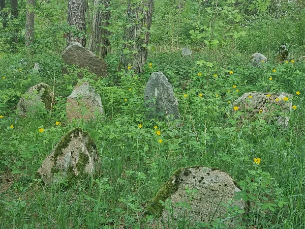 Еврейское кладбище