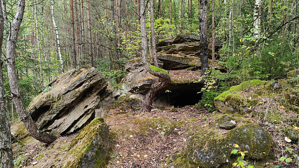 Ледниковые конгломераты