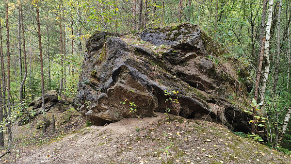 Ледниковые конгломераты