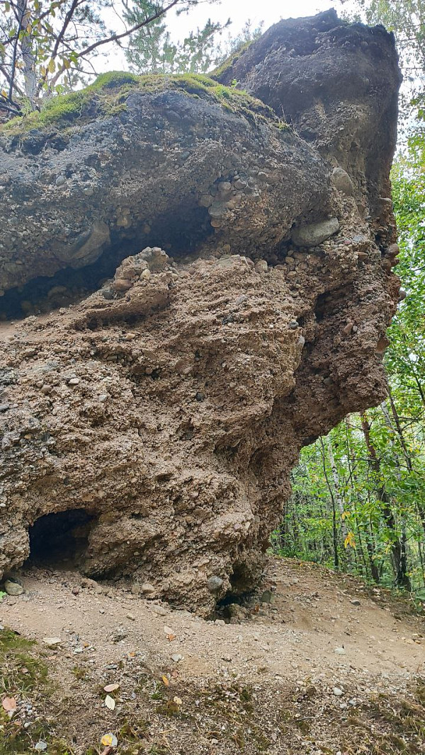 Ледниковые конгломераты