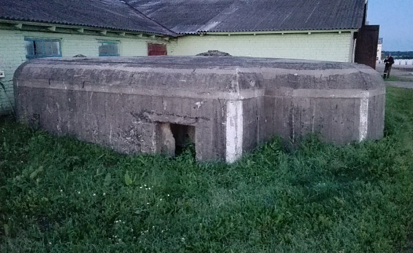 Дот №19
