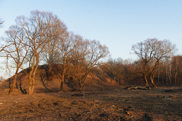Городище
