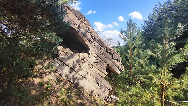 Дот первой мировой