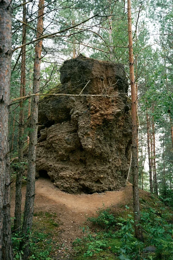 Ледниковые конгломераты
